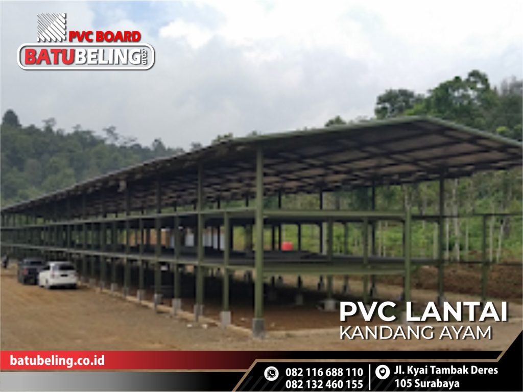 alas kandang plastik pvc ternak