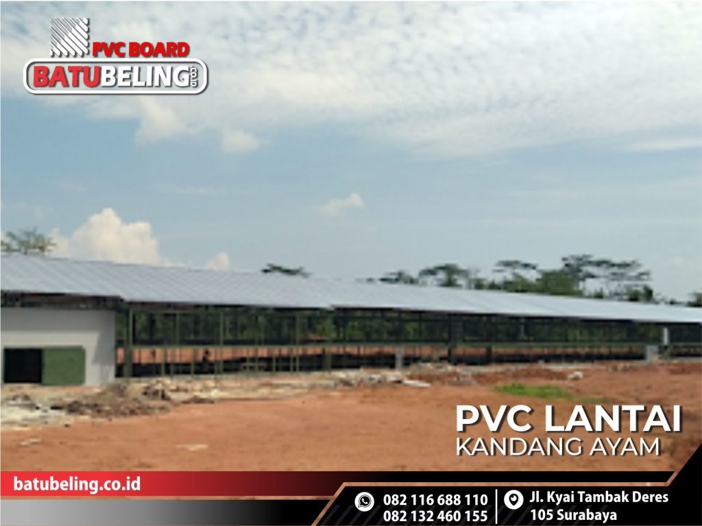 alas kandang plastik pvc ternak