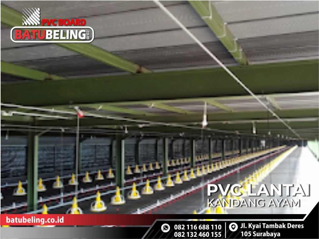 slat kandang plastik